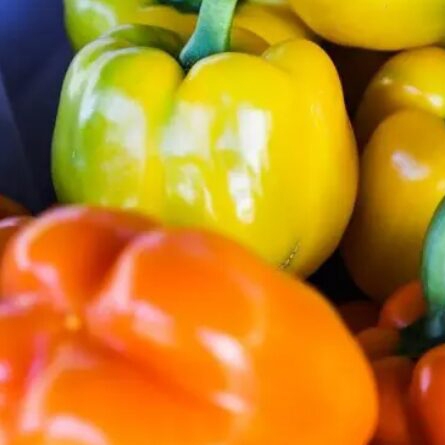 Stuffed Peppers