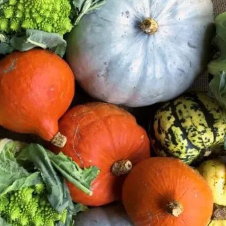 Pumpkin And Carrot Soup
